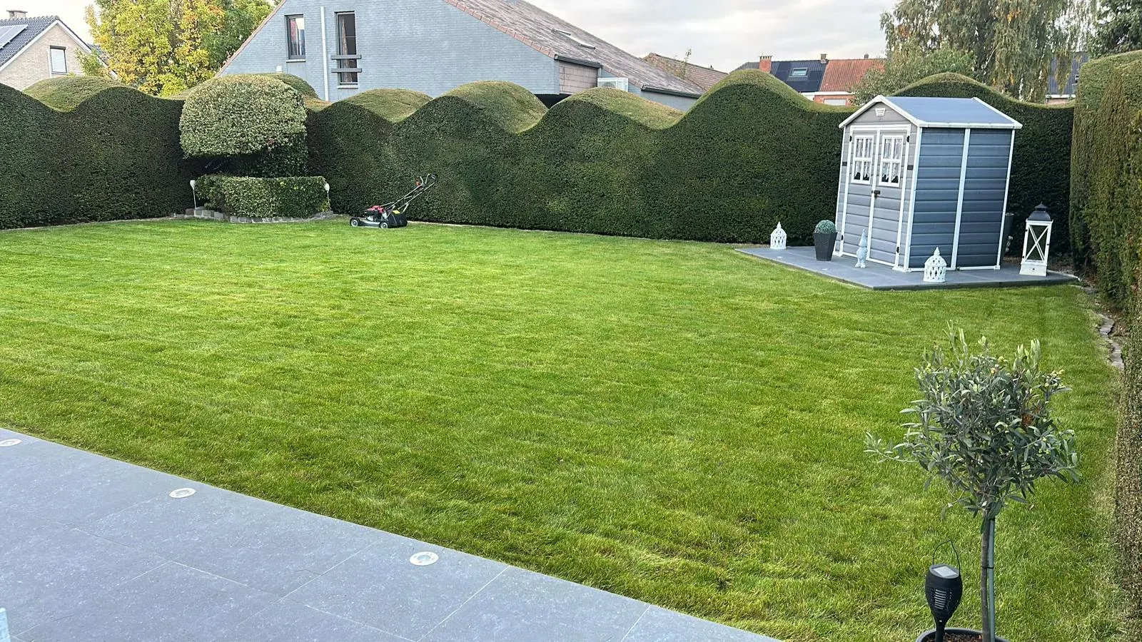 Afgewerkte tuinaanleg en gazon door Tuinen Adam